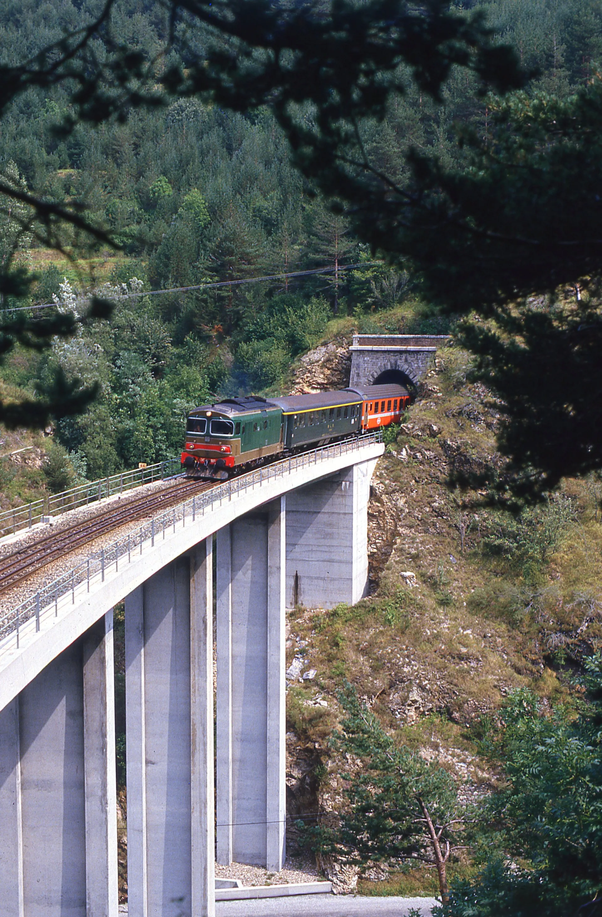 Treno delle Meraviglie
